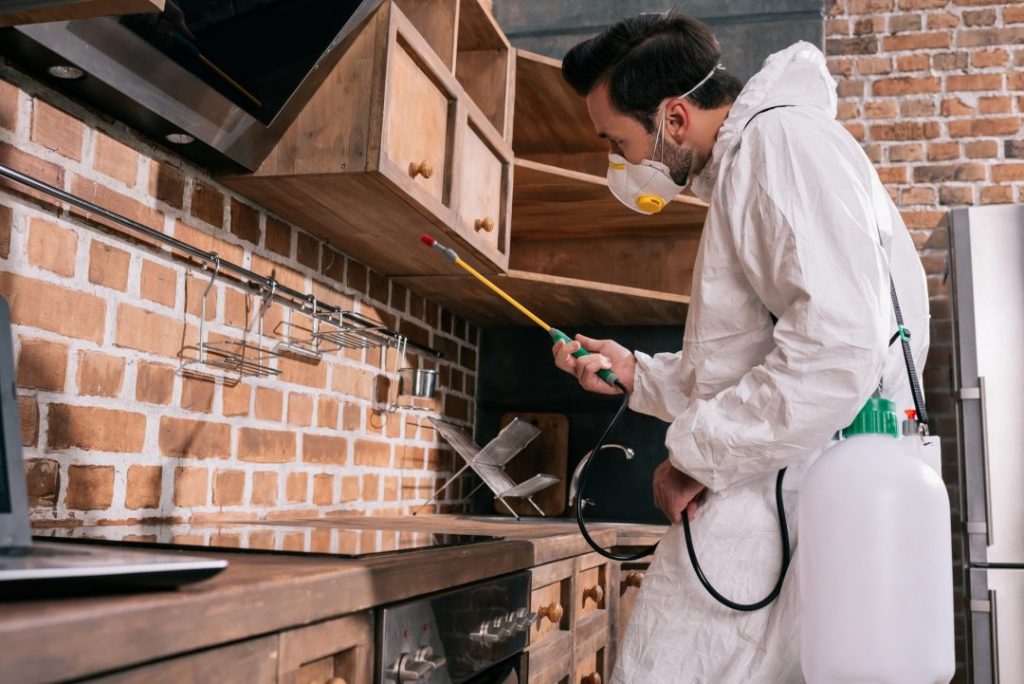 Mold Specialist NYC in Kitchen