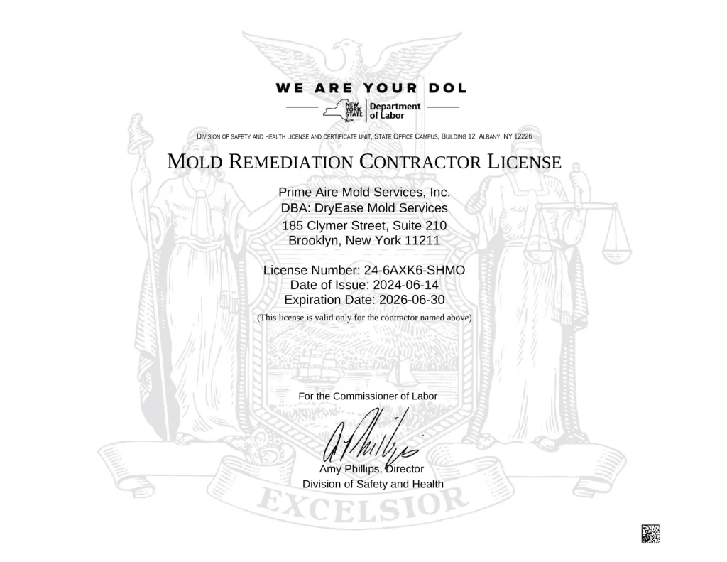 Image of NY DOL Mold Remediation Contractor License for Prime Aire Mold Services Inc