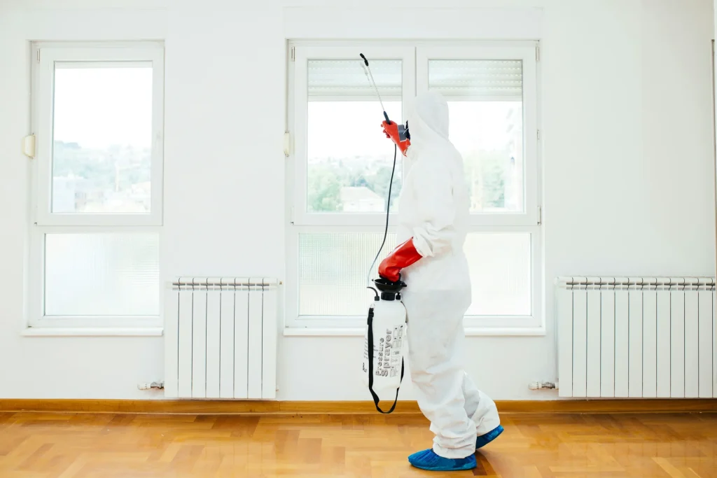 Image of how long mold remediation takes showing a technician applying antimicrobial treatment in a residential space