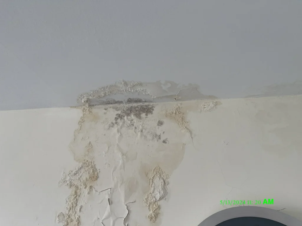 Image of visible ceiling mold and water damage requiring professional mold inspection and testing