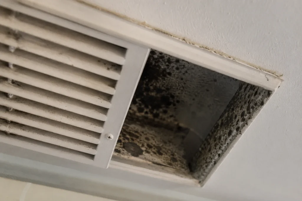 Image of mold growth inside HVAC vent register