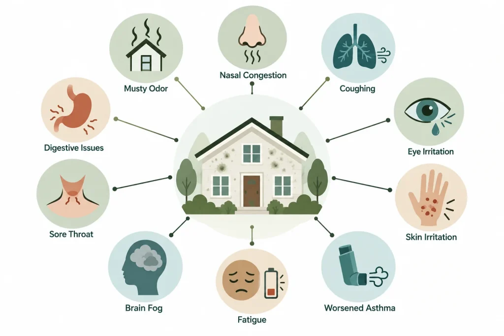 Infographic of the 10 warning signs of mold toxicity around a house