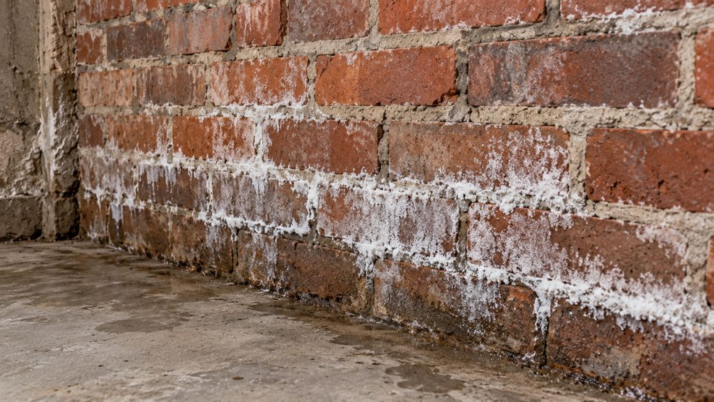 Brick foundation wall with white efflorescence along the mortar joints